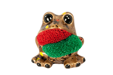 Brown Frog That Serves As A Dish Scrubber  Pad Isolated On A White Backgroundの写真素材