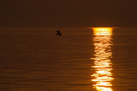 Red Sunset Lake Garda, Italyの写真素材