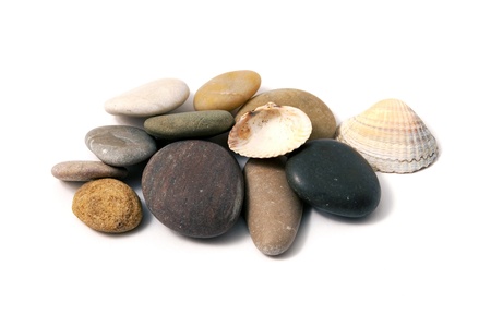 Stones and shells on white backgroundの写真素材