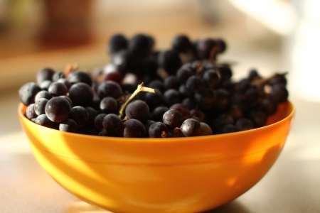 Grapes in Bowlの写真素材