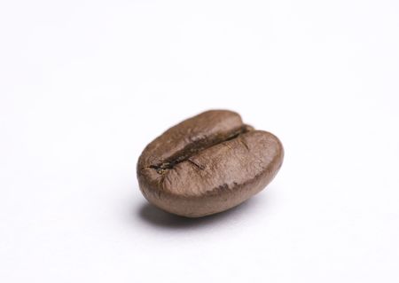 Single coffee bean close up isolated on white background