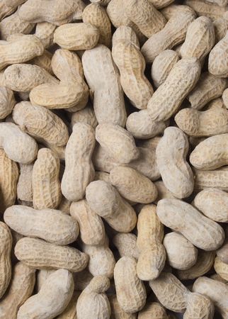 Peanuts in the shell background