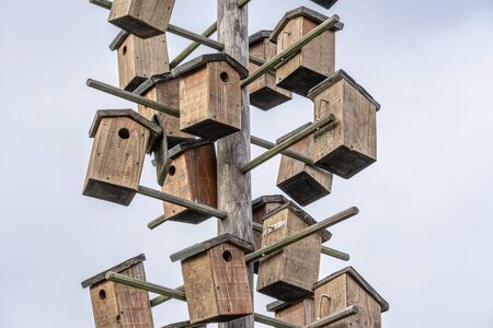Many wooden bird houses are mounted on a wooden pole. Here birds can make a nest and breed. The symbol also stands for the tight living space in the current housing marketの写真素材