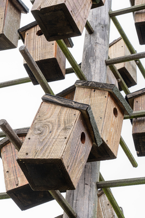 Many wooden bird houses are mounted on a wooden pole. Here birds can make a nest and breed. The symbol also stands for the tight living space in the current housing marketのeditorial素材