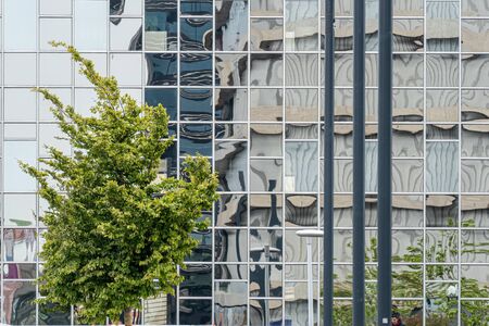 Fragment of the facade of a modern office building, the surroundings reflected in the facade