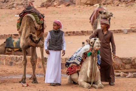 Wadi Rum/Jordan-november 22 2020: Camel drivers are waiting for tourists to take them on a camel ride through the desertのeditorial素材