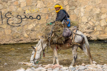 OUARZAZATE/MOROCCO - APRIL 18 2017: Moroccan farmer sitting on a donkey and wading through a...