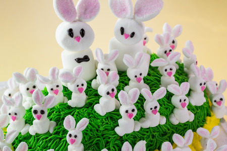 Close up of marshmallow bunny family on Easter cake.