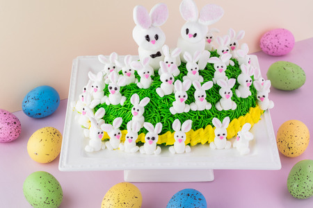 Close up of Easter bunny cake on cake platter and Easter eggs on pastel wooden background.