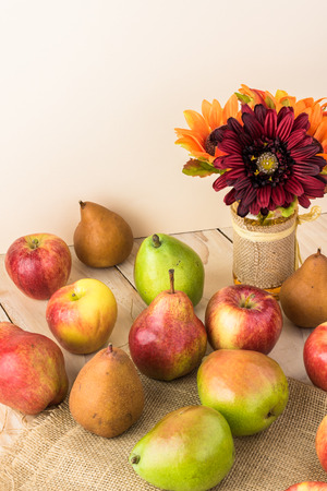 Close up of table with assorted pears and apples of new harvest.の写真素材