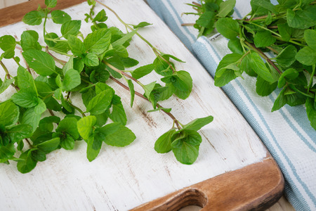 Close up of cutting board with fresh cut garden mint.