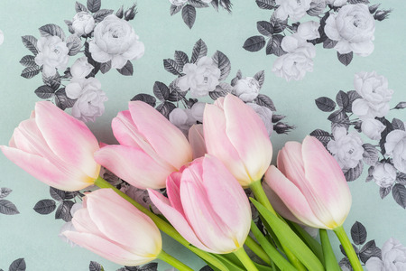 Close up of fresh pink tulips for holidays.の写真素材
