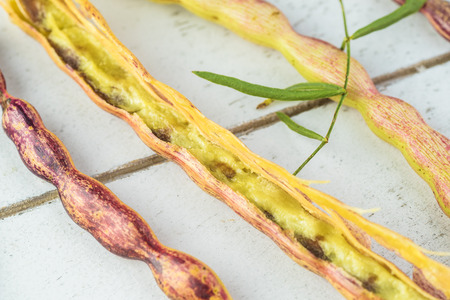 Close up of mesquite beans and one of them opened on a cutting board.の写真素材
