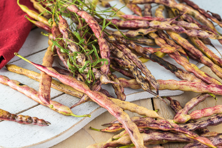 Close up of mesquite beans - ingredient for mesquite bean jelly.の写真素材