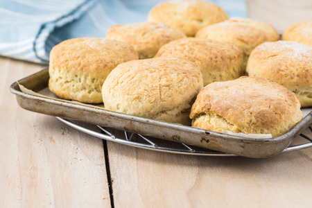 Close up of homemade baked round scones on baking pan.の写真素材