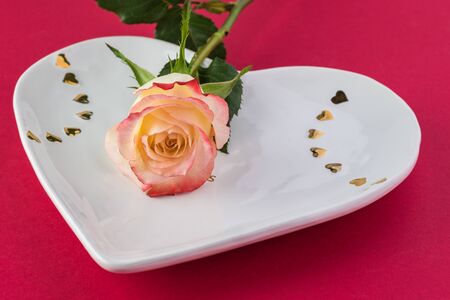 Close up of gorgeous rose on heart shaped plate for Valentines Day.の写真素材
