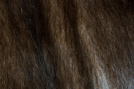 close-up shot of abstract mink fur bachground (texture)の写真素材