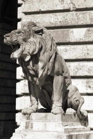photo of the lion statue in royal palace, budapest, hungaryの写真素材