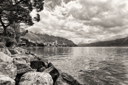 Flowers and trees near Geneva lake, Montreux. Switzerlandの写真素材