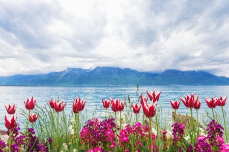 Flowers near Geneva lake, Montreux. Switzerlandの写真素材