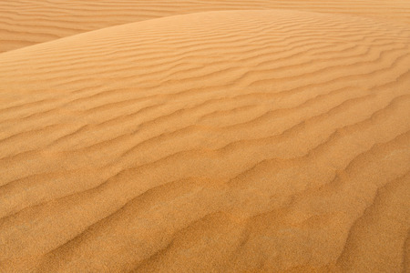 Close-up photo of sand dune in the desert of United Arab Emiratesの写真素材