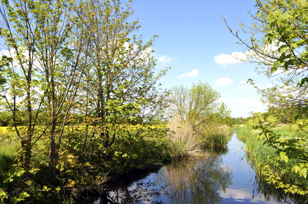 Blue sky over little creekの写真素材