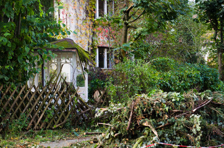 Storm damage with fallen trees and destroyed fence and pavilion after hurricane Xavier in Berlin, Germanyのeditorial素材