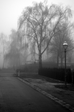 Black and white scene with road, lantern and trees in early morning fog in Berlin, Germanyの写真素材