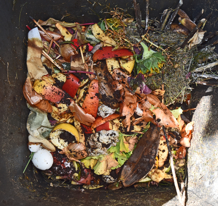 View into a bio container  with various organic wastes for recycling