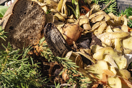 View into a bio container with various organic wastes for recycling.