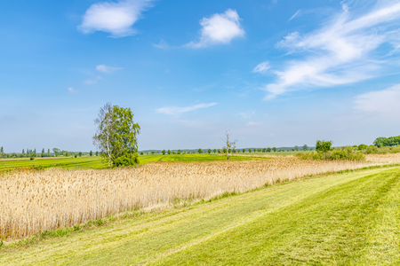 View over the Elbauen in Lower Saxony, Germany. You see a landscape with fields, meadows and trees.の写真素材