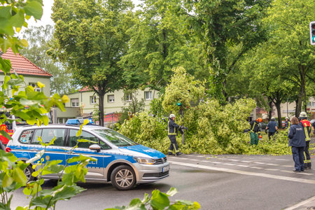 Berlin, Germany - June 12, 2019: An uprooted tree lying on a major road in Berlin, Germany, after a heavy storm. The police is blocking the street for cleanup.のeditorial素材