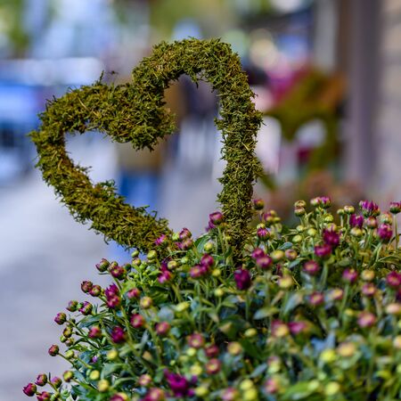 Heart of moss in a floral arrangement on the edge of a shopping street.の写真素材