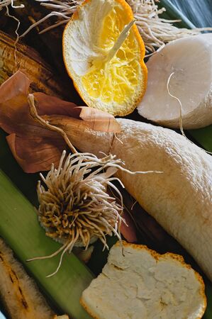 View into a container with organic waste for recycling, which consists of radish; leeks, banana...