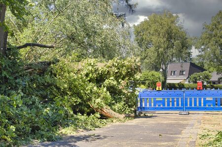 The remains of a fallen tree after a heavy storm in Berlin, Germany. The road is still closed...