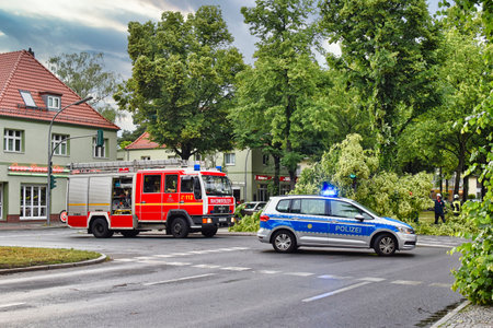 Berlin, Germany - June 12, 2019: An uprooted tree lying on a main street in Berlin, Germany, after a heavy storm. The police are blocking the road and firefighters are clearing away the branches.のeditorial素材
