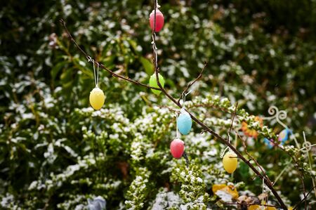 Colorful easter eggs hanging at branches in the garden as decoration for Easter. Some eggs are covered with snow.の写真素材