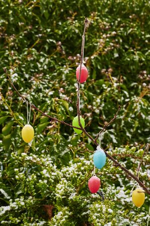 Colorful easter eggs hanging at branches in the garden as decoration for Easter. Some eggs are covered with snow.の写真素材