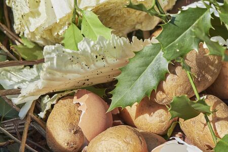 View into a bio container  with various organic wastes such as potato and salad for recycling.の写真素材