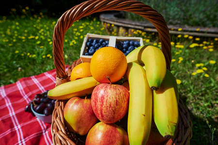 Basket of various fruits in the sunlight on a meadow with yellow flowers.の写真素材