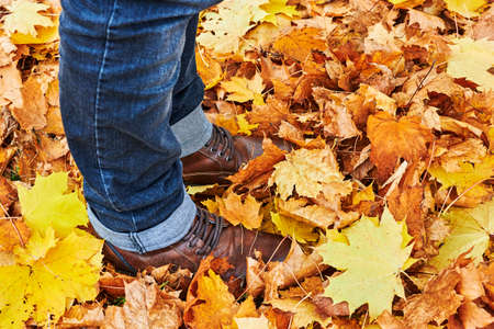 Golden autumn leaves lying on the ground on a footpath in a park. You see a walker's shoes standing...