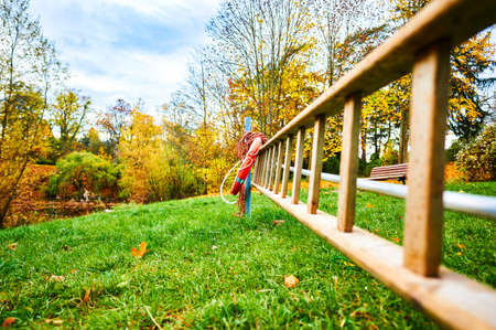 Ladder and orange lifebuoy at the edge of a lake in a park.の写真素材