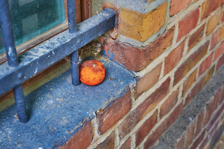 Detail of a historic station building in Berlin, Germany, with an old mandarin.の写真素材