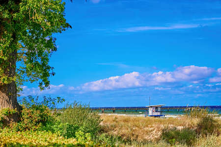View over the bank vegetation to the Baltic Sea in front of Bansin on the island of Usedom, Germany.の写真素材