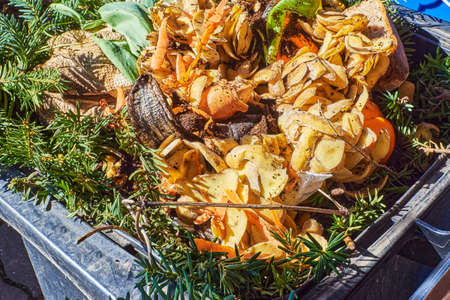 View into a bio container with various organic wastes for recycling.の写真素材