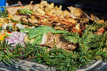 View into a bio container with various organic wastes for recycling.の写真素材