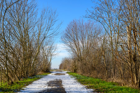 Lonely landscape with blue sky, sunshine and snow.の写真素材