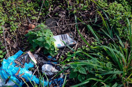 Wassmannsdorf, Germany - November 01, 2023: Waste with cigarette packs that was thoughtlessly disposed of in nature.のeditorial素材