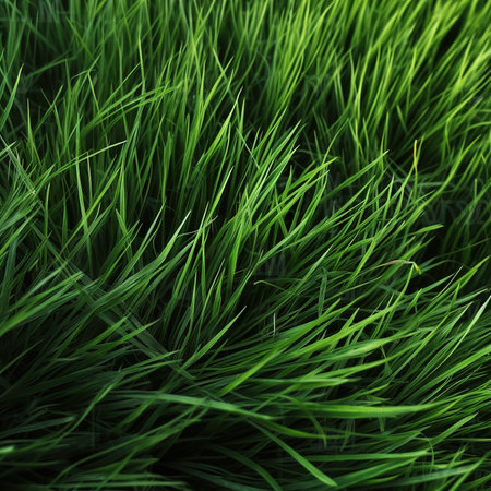 Green grass background. Close-up of fresh spring grass texture.の素材