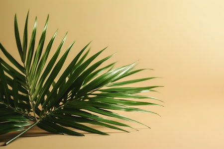 Green palm leaf on beige background with copy space for text.の素材